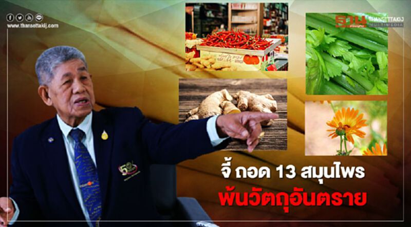 จี้ ถอด "13 สมุนไพร" พ้น วัตถุอันตราย จี้ ถอด "13 สมุนไพร" พ้น วัตถุอันตราย