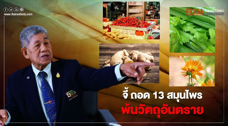 จี้ ถอด "13 สมุนไพร" พ้น วัตถุอันตราย จี้ ถอด "13 สมุนไพร" พ้น วัตถุอันตราย