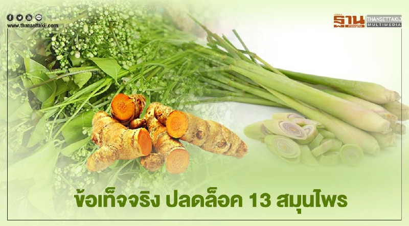 ข้อเท็จจริง ขึ้นทะเบียน "13 สมุนไพร" เป็น "วัตถุอันตราย" ชนิดที่ 1 ข้อเท็จจริง ขึ้นทะเบียน "13 สมุนไพร" เป็น "วัตถุอันตราย" ชนิดที่ 1