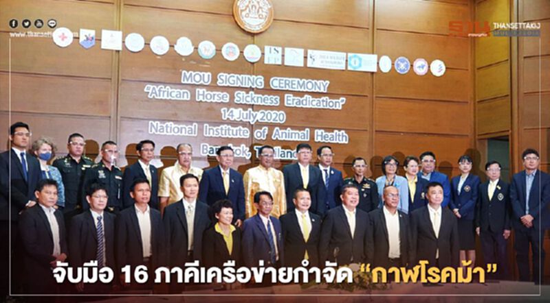 จับมือ 16 ภาคีเครือข่ายกำจัด “กาฬโรคม้า” จับมือ 16 ภาคีเครือข่ายกำจัด “กาฬโรคม้า”