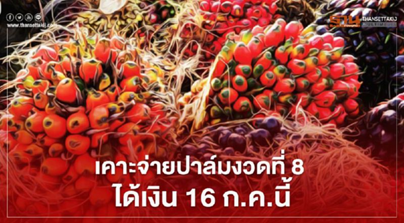 เคาะจ่ายปาล์มงวดที่ 8 ได้เงิน 16 ก.ค.นี้ เคาะจ่ายปาล์มงวดที่ 8 ได้เงิน 16 ก.ค.นี้