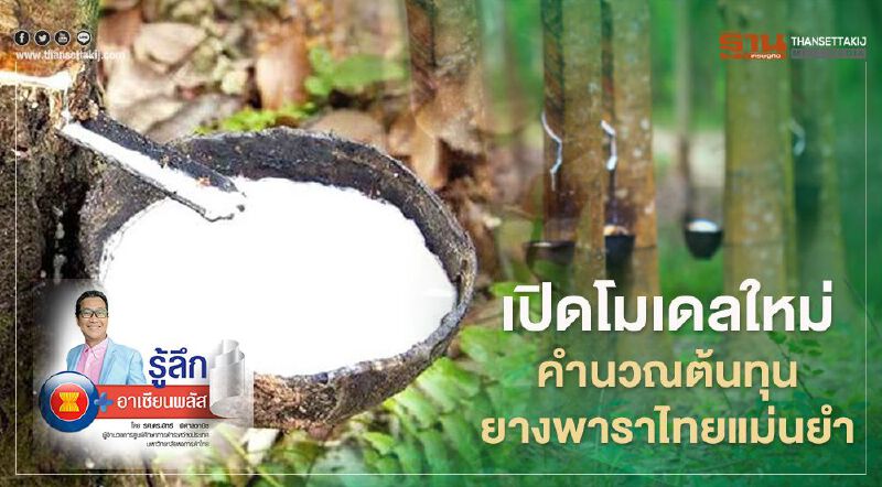 เปิดโมเดลใหม่ คำนวณต้นทุนยางพาราไทยแม่นยำ เปิดโมเดลใหม่ คำนวณต้นทุนยางพาราไทยแม่นยำ