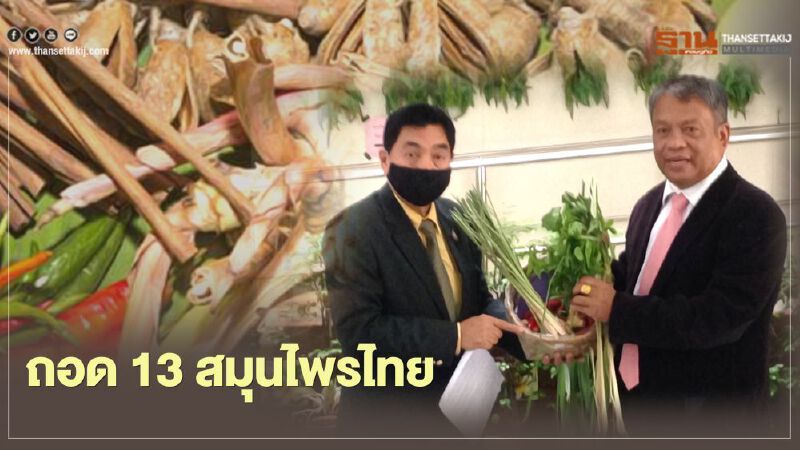 ยื่นนายกฯ ถอด 13 สมุนไพรไทยจากวัตถุอันตราย 