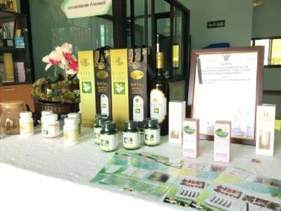 “สสว.” ดึงโค้ชกว่า 3,502 รายติวเข้ม SMEs ออนไลน์เร่งแก้ปัญหาธุรกิจ