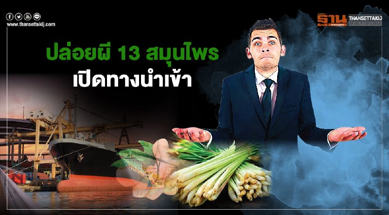 ปล่อยผี 13 สมุนไพร เปิดทางนำเข้า จับตารง.ใหม่แห่แจ้งเกิด ปล่อยผี 13 สมุนไพร เปิดทางนำเข้า จับตารง.ใหม่แห่แจ้งเกิด