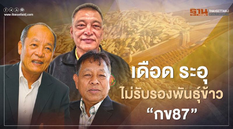 เดือด ระอุ ไม่รับรองพันธุ์ข้าว “กข87” เดือด ระอุ ไม่รับรองพันธุ์ข้าว “กข87”