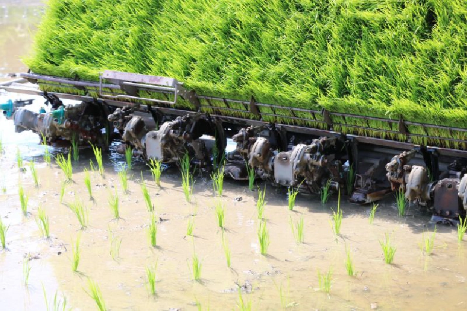 ลุย "โคก หนอง นา โมเดล" เคลื่อนเกษตรทฤษฎีใหม่