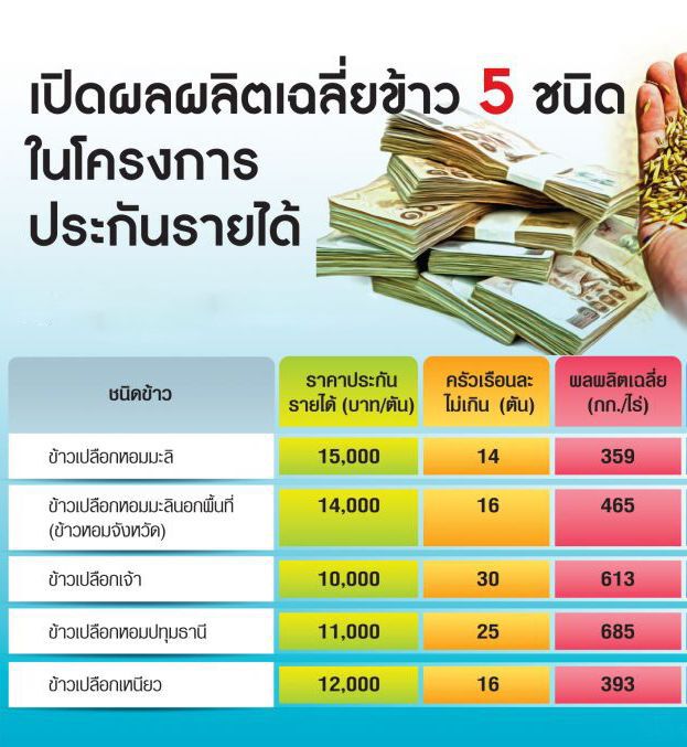 ไม่พลิก นบข.ทุบโต๊ะ “ประกันรายได้ข้าว” เท่าเดิม