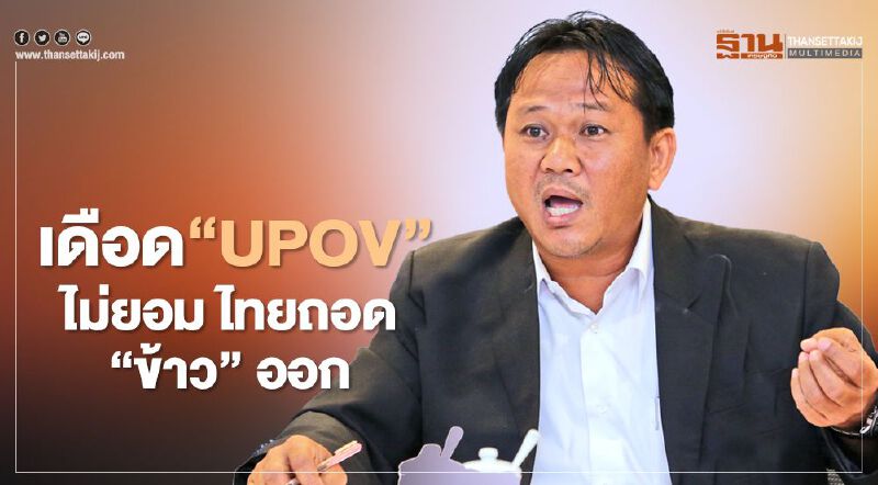 เดือด “UPOV” ไม่ยอม ไทยถอด “ข้าว” ออกจาก CPTPP เดือด “UPOV” ไม่ยอม ไทยถอด “ข้าว” ออกจาก CPTPP