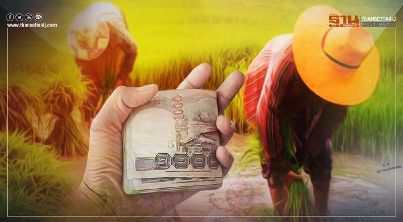 www.เยียวยาเกษตรกร.com เช็กสิทธิ์ด่วน www.moac.go.th เตรียมโอนเงินเพิ่ม 1.1 พันล.