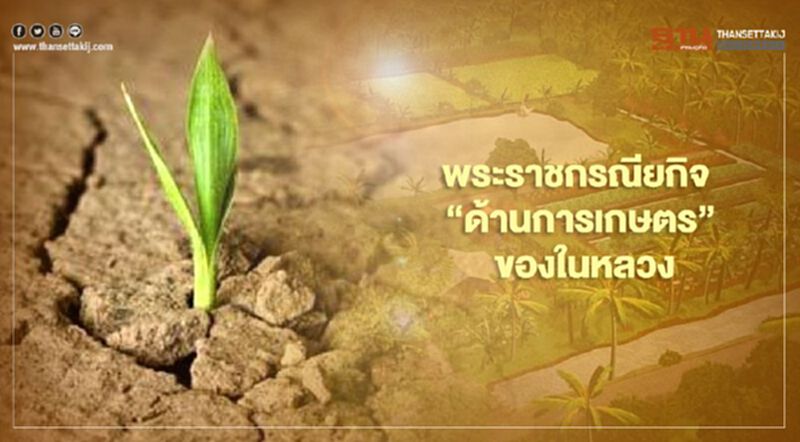 พระราชกรณียกิจ “ด้านการเกษตร” ของ "ในหลวง ร.10" พระราชกรณียกิจ “ด้านการเกษตร” ของ "ในหลวง ร.10"
