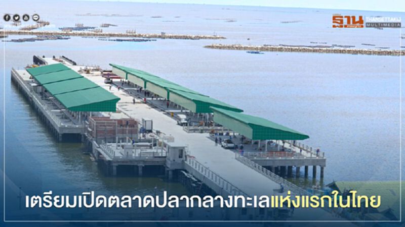 เตรียมเปิดตลาดปลากลางทะเลแห่งแรกในไทย เตรียมเปิดตลาดปลากลางทะเลแห่งแรกในไทย