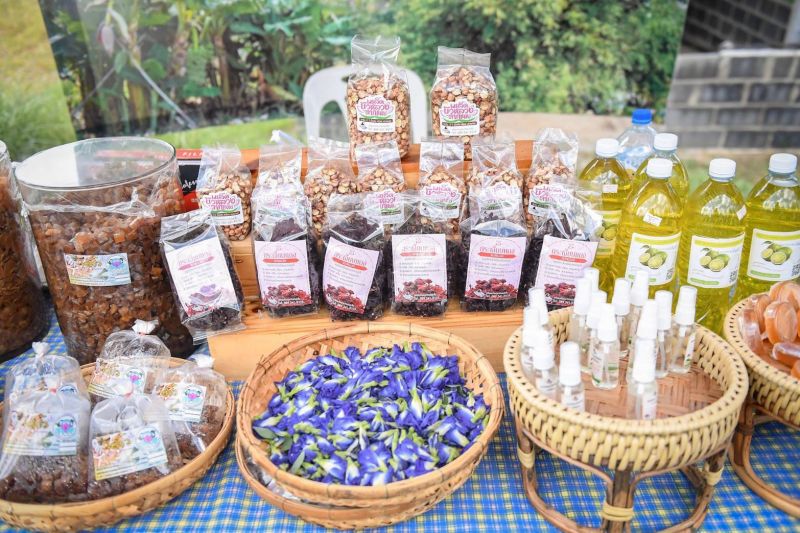 มอบป้าย “Organic Thailand” สมุนไพรอินทรีย์รายแรก