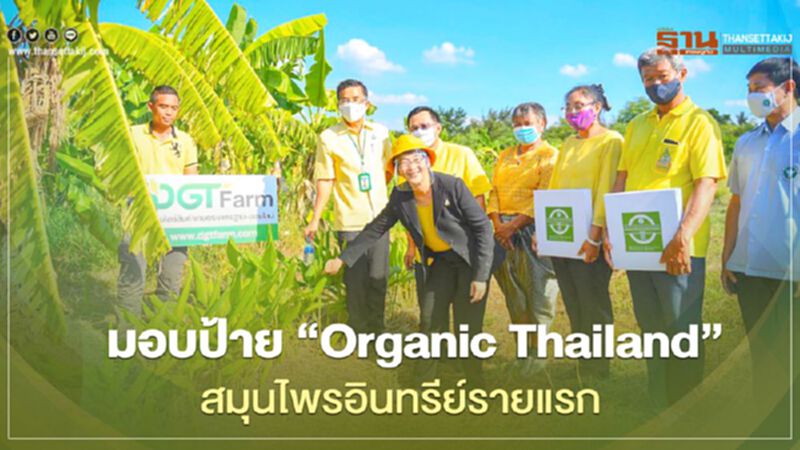 มอบป้าย “Organic Thailand” สมุนไพรอินทรีย์รายแรก มอบป้าย “Organic Thailand” สมุนไพรอินทรีย์รายแรก