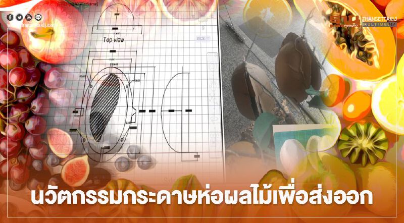 “TED Fund” หนุนนวัตกรรมกระดาษห่อผลไม้เพื่อส่งออก “TED Fund” หนุนนวัตกรรมกระดาษห่อผลไม้เพื่อส่งออก