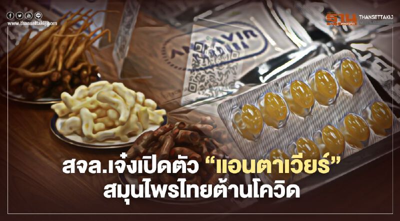 สจล.เจ๋งเปิดตัว “แอนตาเวียร์” สมุนไพรไทยต้านโควิด