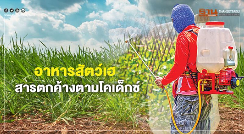 อาหารสัตว์1.07ล้านล.เฮ สารตกค้างตามโคเด็กซ์ 2สมาคมติงอย่า2มาตรฐาน อาหารสัตว์1.07ล้านล.เฮ สารตกค้างตามโคเด็กซ์ 2สมาคมติงอย่า2มาตรฐาน