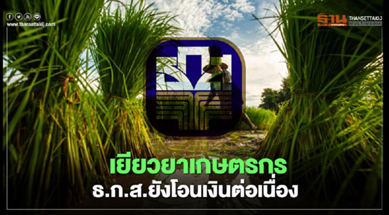 www.เยียวยาเกษตรกร.com ยังโอนเงินต่อเนื่อง ตรววจสอบสถานะด่วน www.เยียวยาเกษตรกร.com ยังโอนเงินต่อเนื่อง ตรววจสอบสถานะด่วน