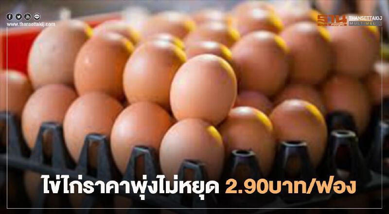 ไข่ไก่ราคาพุ่งไม่หยุด 2.90 บาท/ฟอง