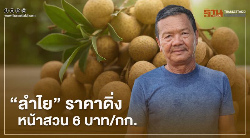 “ลำไย” ราคาดิ่ง หน้าสวน 6 บาท/กก. ปล่อยร่วงเกลื่อน จ้างแรงงานไม่คุ้ม