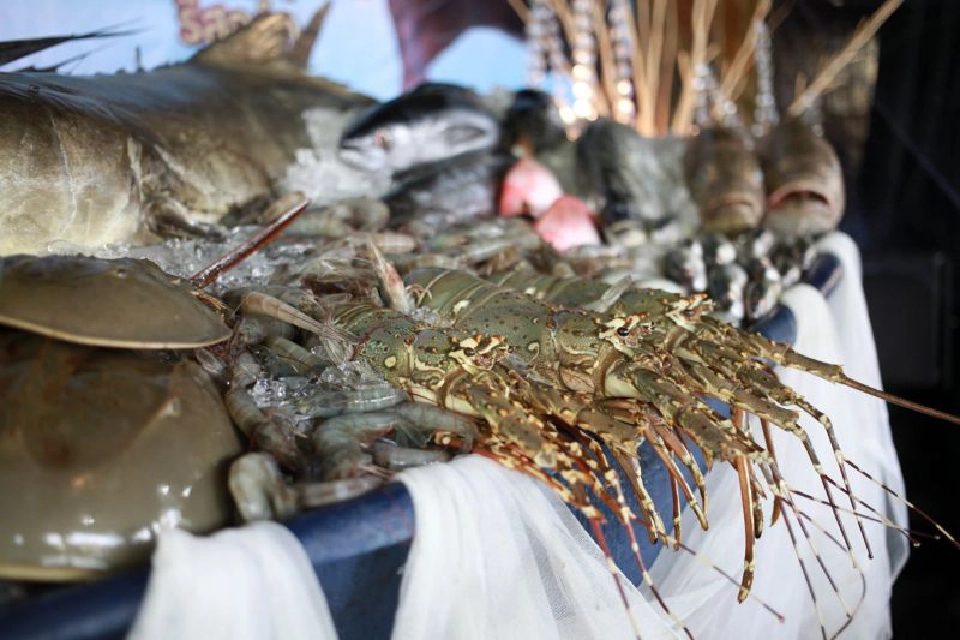   14-16 ส.ค.นี้ห้ามพลาด"มหกรรมซีฟู้ดชุมพร2020" 