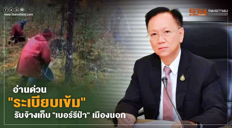 อ่านด่วน "ระเบียบเข้ม"รับจ้างเก็บ"เบอร์รีป่า"เมืองนอก อ่านด่วน "ระเบียบเข้ม"รับจ้างเก็บ"เบอร์รีป่า"เมืองนอก