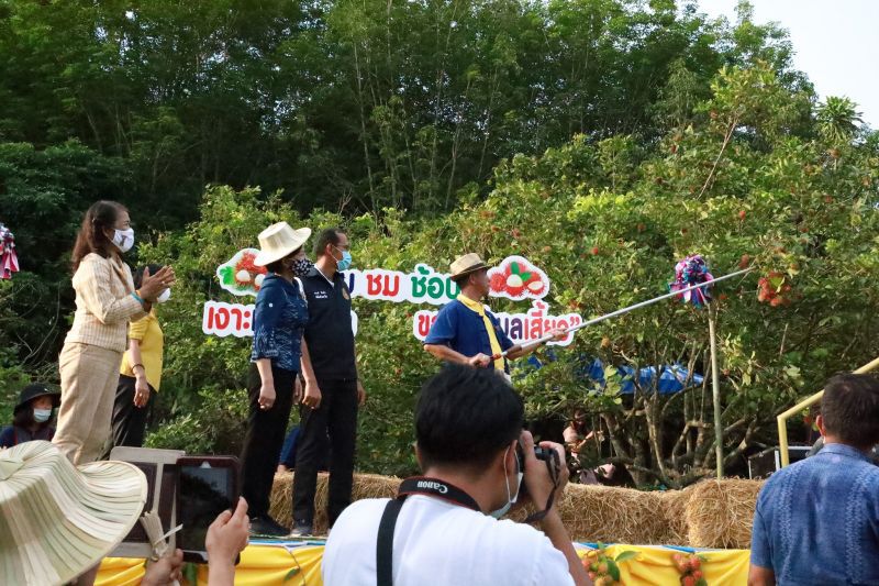 เปิดสวนเชิญชมชิมช็อป"เงาะเสี้ยว"เมืองเลย