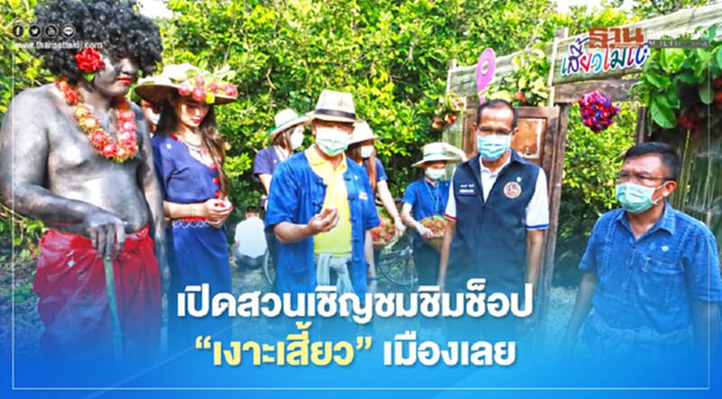เปิดสวนเชิญชมชิมช็อป"เงาะเสี้ยว"เมืองเลย เปิดสวนเชิญชมชิมช็อป"เงาะเสี้ยว"เมืองเลย