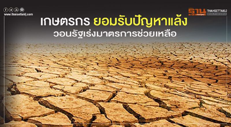 เกษตรกร ยอมรับปัญหาแล้ง วอนรัฐเร่งมาตรการช่วยเหลือ เกษตรกร ยอมรับปัญหาแล้ง วอนรัฐเร่งมาตรการช่วยเหลือ