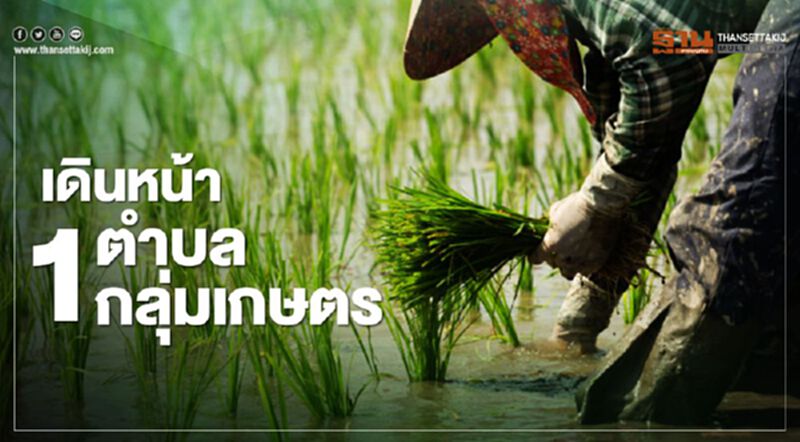 เดินหน้า โครงการ 1 ตำบล 1 กลุ่มเกษตรทฤษฏีใหม่ เดินหน้า โครงการ 1 ตำบล 1 กลุ่มเกษตรทฤษฏีใหม่