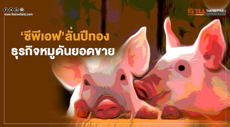 ซีพีเอฟลั่นปีทอง ธุรกิจหมูดันยอดขาย ซีพีเอฟลั่นปีทอง ธุรกิจหมูดันยอดขาย