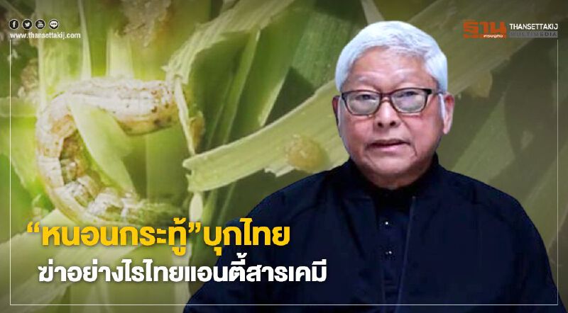 “หนอนกระทู้” บุกไทย ฆ่าอย่างไรไทยแอนตี้สารเคมี “หนอนกระทู้” บุกไทย ฆ่าอย่างไรไทยแอนตี้สารเคมี