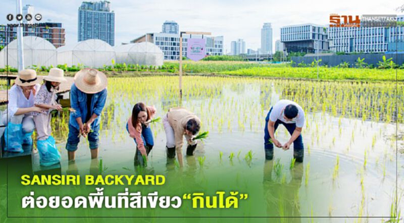SANSIRI BACKYARD ต่อยอดพื้นที่สีเขียว “กินได้” SANSIRI BACKYARD ต่อยอดพื้นที่สีเขียว “กินได้”