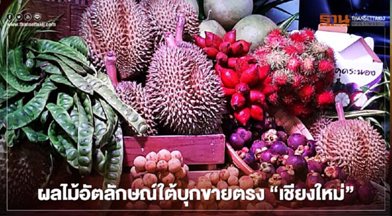 ผลไม้อัตลักษณ์ใต้บุกขายตรง"เชียงใหม่" ผลไม้อัตลักษณ์ใต้บุกขายตรง"เชียงใหม่"