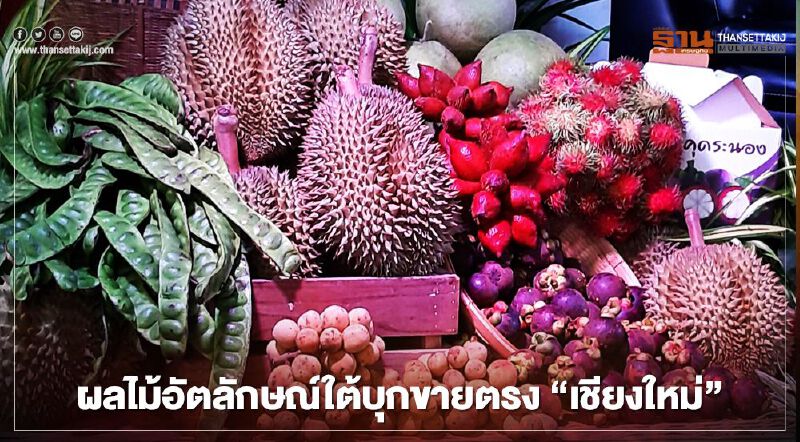 ผลไม้อัตลักษณ์ใต้บุกขายตรง"เชียงใหม่"
