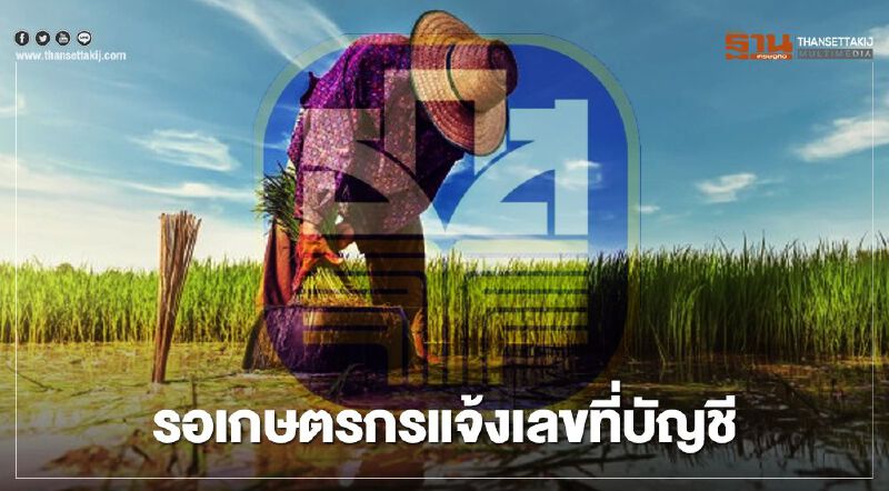 ตรวจสอบสถานะ www.เยียวยาเกษตรกร.com รอเกษตรกรแจ้งเลขที่บัญชีใหม่