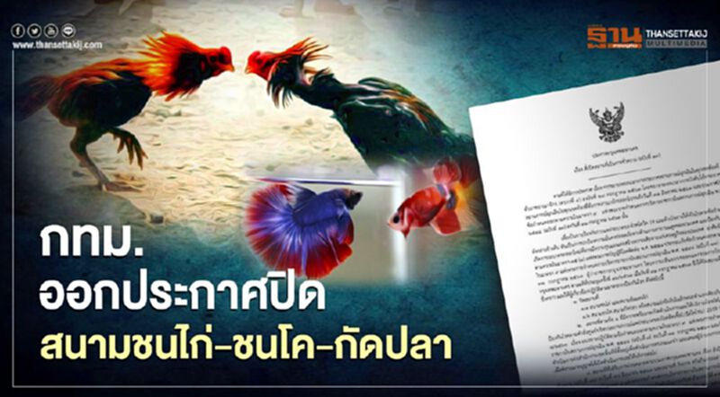 กทม. ออกประกาศ สั่งปิด สนามชนไก่-ชนโค-กัดปลา มีผล 1-31 ส.ค.63 กทม. ออกประกาศ สั่งปิด สนามชนไก่-ชนโค-กัดปลา มีผล 1-31 ส.ค.63