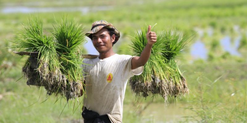 “เมียนมา”ปรับขึ้นราคาข้าวขั้นต่ำ  เล็งเป้าส่งออกปีนี้ 2.5-3 ล้านตัน