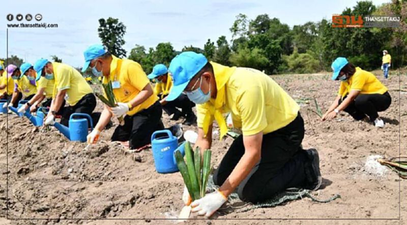 กรมส่งเสริมสหกรณ์ จัดกิจกรรมจิตอาสา แก้ปัญหาภัยแล้ง กรมส่งเสริมสหกรณ์ จัดกิจกรรมจิตอาสา แก้ปัญหาภัยแล้ง