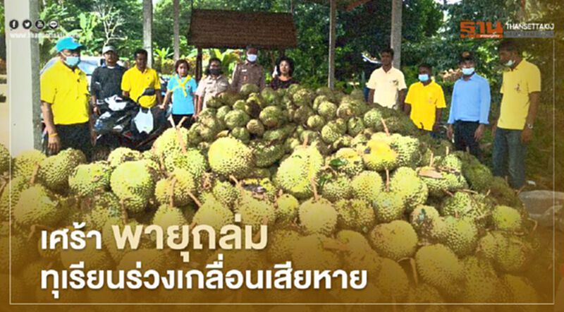 เศร้า พายุถล่มทุเรียนร่วงเสียหายเกลื่อน เศร้า พายุถล่มทุเรียนร่วงเสียหายเกลื่อน