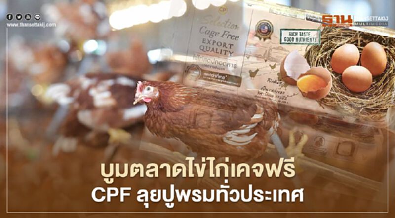 บูมตลาดไข่ไก่เคจฟรี CPF ลุยปูพรมทั่วประเทศ บูมตลาดไข่ไก่เคจฟรี CPF ลุยปูพรมทั่วประเทศ
