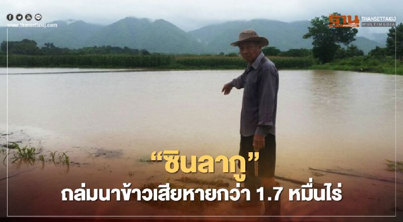 “ซินลากู” ถล่มนาข้าวเสียหายกว่า 1.7 หมื่นไร่