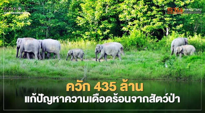 ควัก 435 ล้านแก้ปัญหาความเดือดร้อนของประชาชนจากสัตว์ป่า 