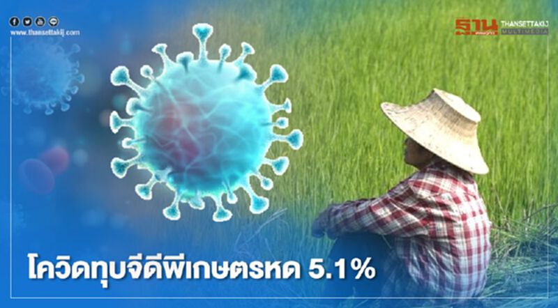 โควิดทุบจีดีพีเกษตรหด 5.1% โควิดทุบจีดีพีเกษตรหด 5.1%
