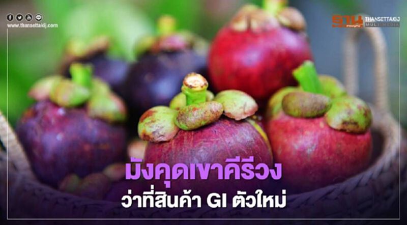มังคุดเขาคีรีวง ว่าที่สินค้า GI ตัวใหม่ มังคุดเขาคีรีวง ว่าที่สินค้า GI ตัวใหม่