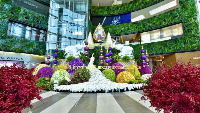 “มหัศจรรย์กล้วยไม้แห่งแผ่นดิน” เฉลิมพระเกียรติ “พระบรมราชชนนีพันปีหลวง”