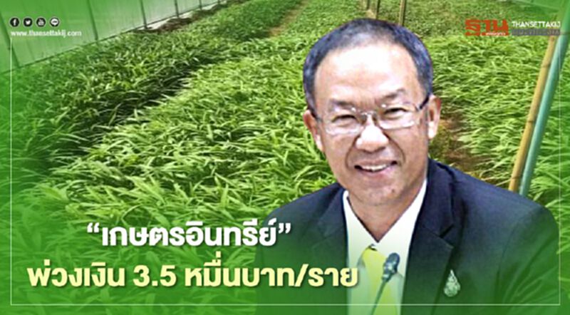 “เกษตรอินทรีย์” พ่วงเงิน 3.5 หมื่นบาท/ราย จูงใจ “เกษตรอินทรีย์” พ่วงเงิน 3.5 หมื่นบาท/ราย จูงใจ