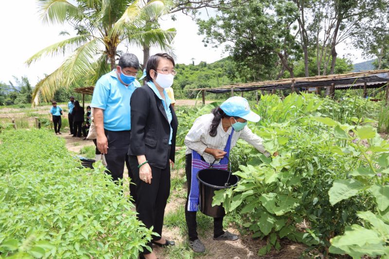 ฟาร์มตัวอย่างจุดประกายชาวบ้าน"สร้างอาชีพ" 