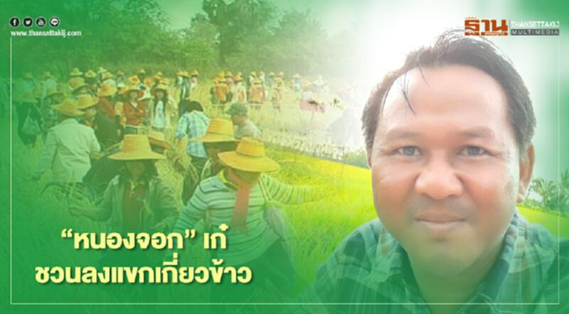 วันพรุ่งนี้ “หนองจอก” เก๋ ชวนลงแขกเกี่ยวข้าว (มีคลิป) วันพรุ่งนี้ “หนองจอก” เก๋ ชวนลงแขกเกี่ยวข้าว (มีคลิป)