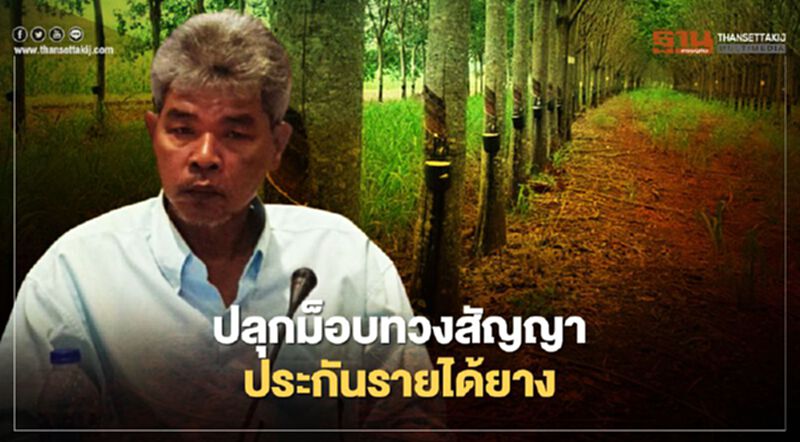 ปลุกม็อบทวงสัญญาประกันรายได้ยาง ปลุกม็อบทวงสัญญาประกันรายได้ยาง